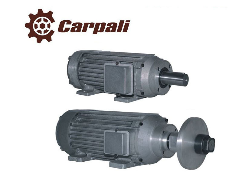 Carpali saw motor